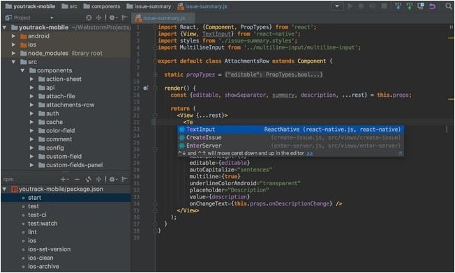 WebStorm